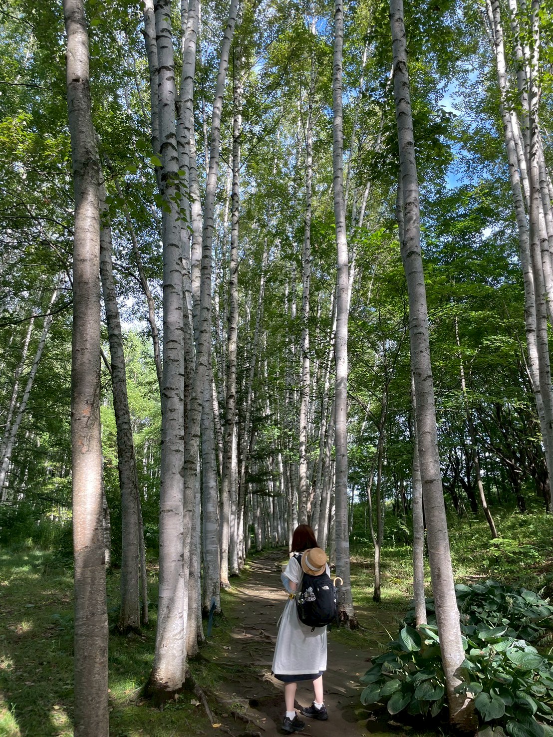 プロフィール写真"